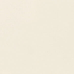 Daltile Color Wheel 4x16 Polished Biscuit