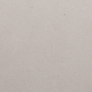 Fresh Concrete - Ceasarstone Quartz