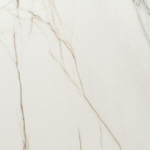 Daltile 12x24 Mythique Marble Matte Calacatta Venecia