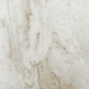Daltile 12x24 Mythique Marble Matte Majestic