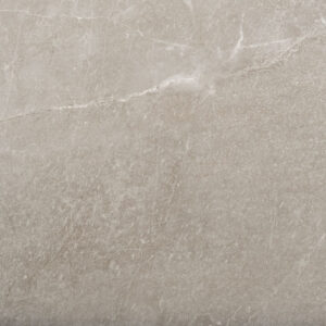 Daltile Marble Obsession 12x24 Matte Grigio