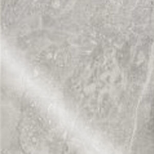Shaw 24x24 Paradigm Polished Perla Grigia 500