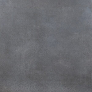 Daltile Emergent 12 x 24 Light Polished Iron EM30