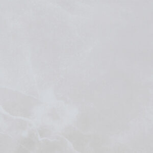 Daltile 12x24 Matte Sacarra Cristal