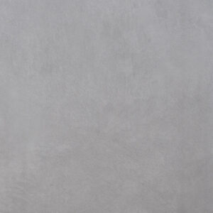 Daltile Indoterra 12 x 24 Matte Trail IN44