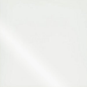 Shaw 24×24 Paradigm Polished Duet White 100