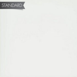 Shaw 24x24 Matte Duet White 100