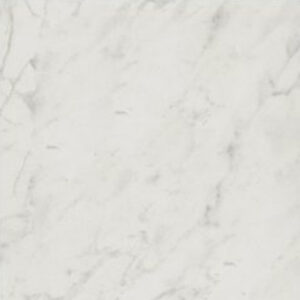 Shaw Paradigm 12 x 24 Polished  Carrara Abisso 111
