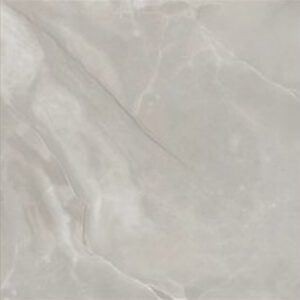 Shaw Paradigm 12 x 24 Matte Onyx Crystallo 110