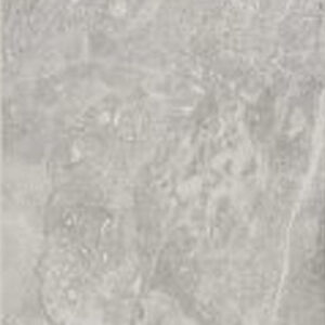 Shaw Paradigm 12 x 24 Matte Perla Grigia 500